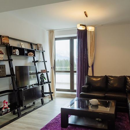 Panoramic Loft Colina Marei Daire Sinaia Dış mekan fotoğraf
