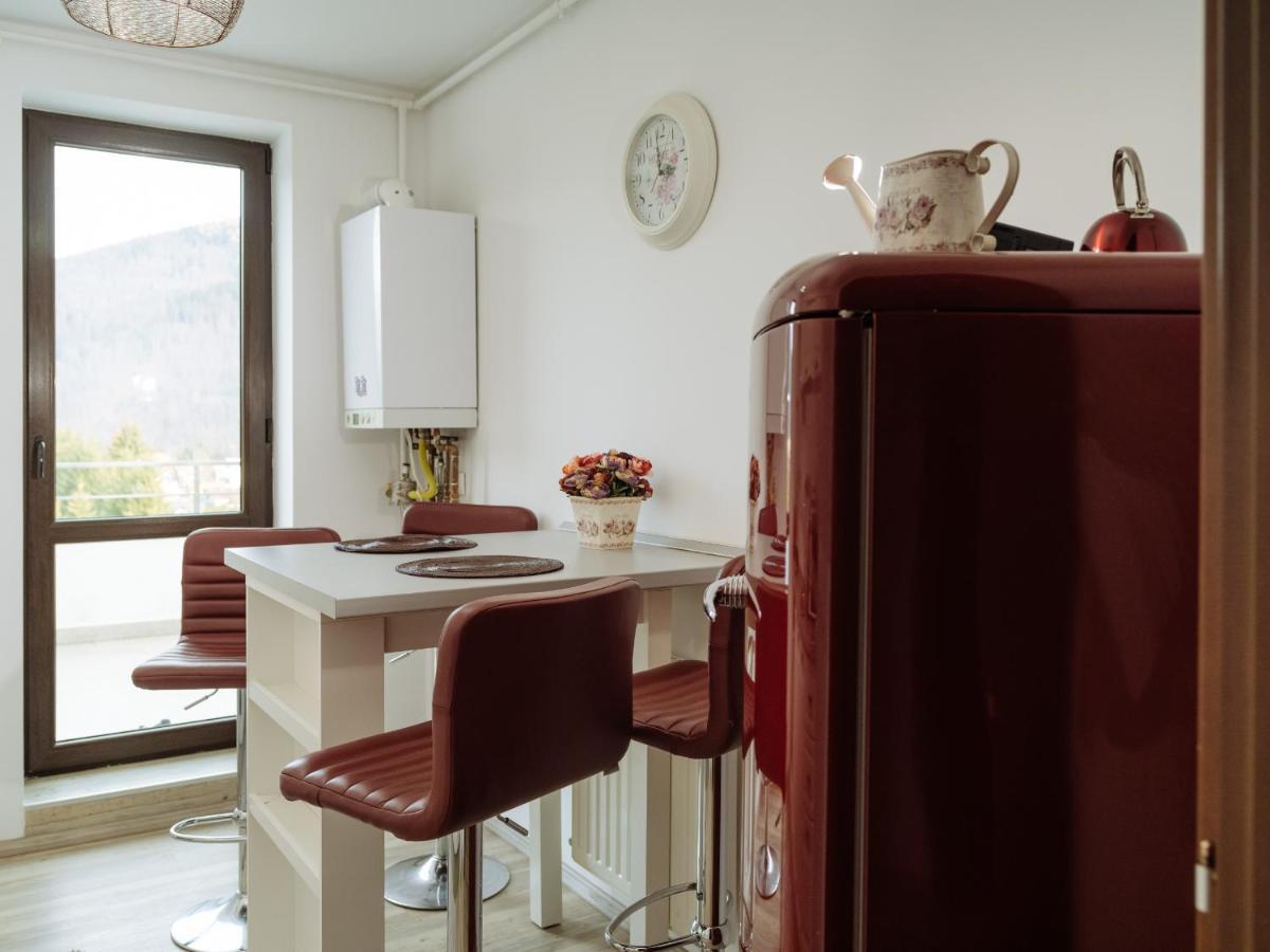 Panoramic Loft Colina Marei Daire Sinaia Dış mekan fotoğraf